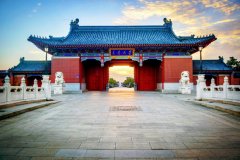 大学与职业技术学校之争, 如何诊断网